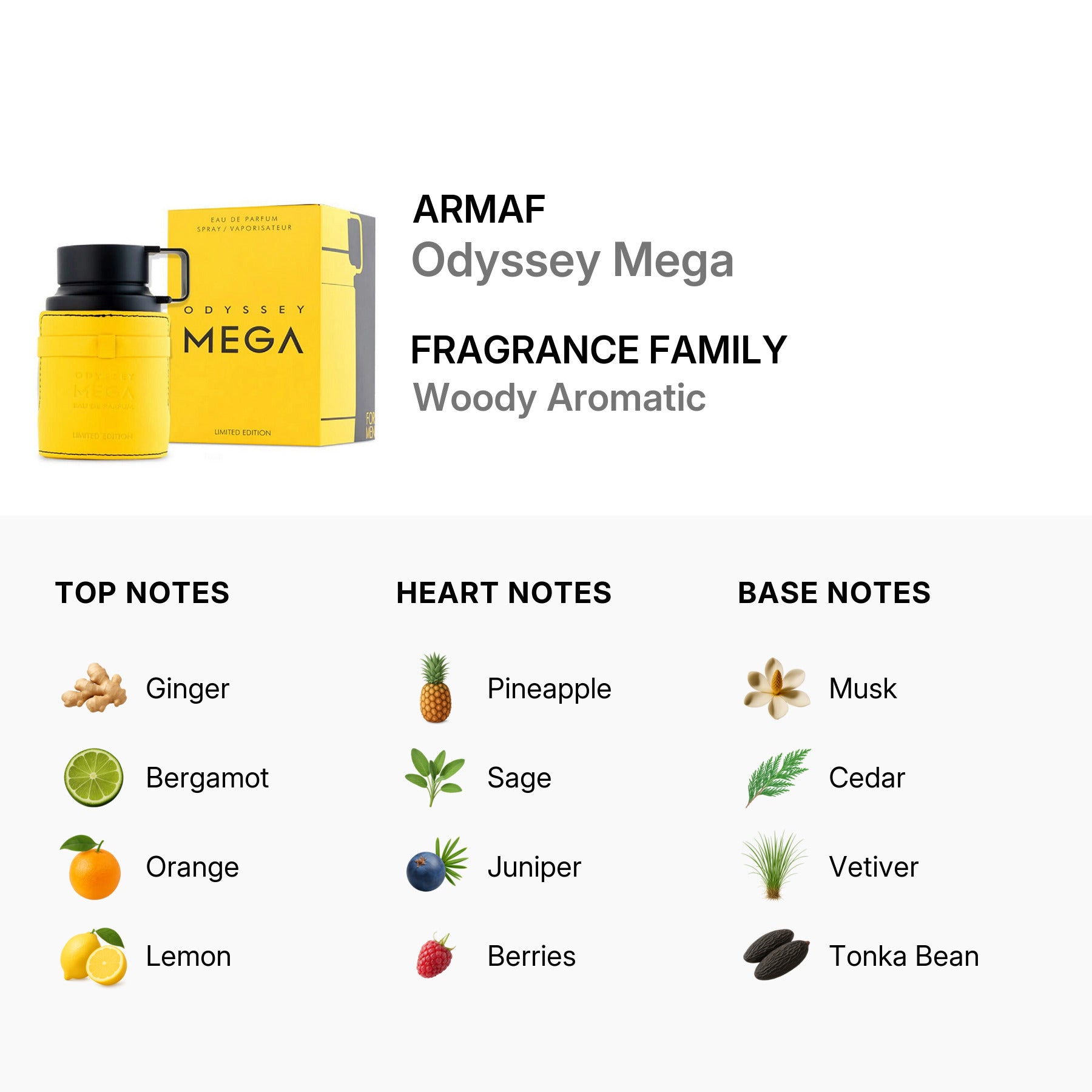 Armaf Men's Odyssey Mega EDP Spray 100 ml
